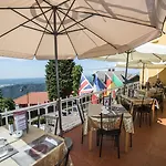 Vista